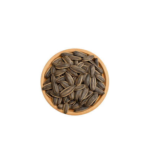 SUNFLOWER SEED SALTY