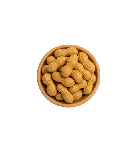 PISTACHIO WITH SHELL