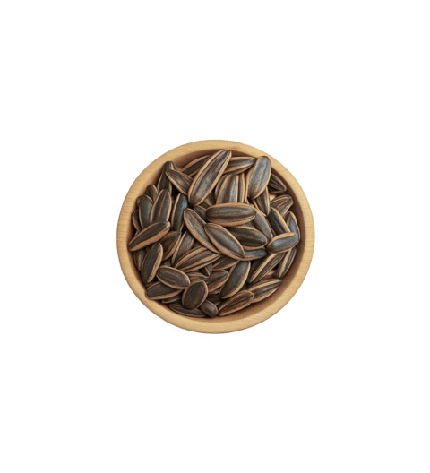 SUNFLOWER SEED SALTY